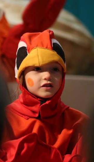 Molly the Parrot
