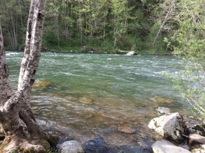 20140502_170143 (400x300)