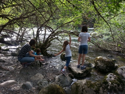 Kanaskat Palmer State Park