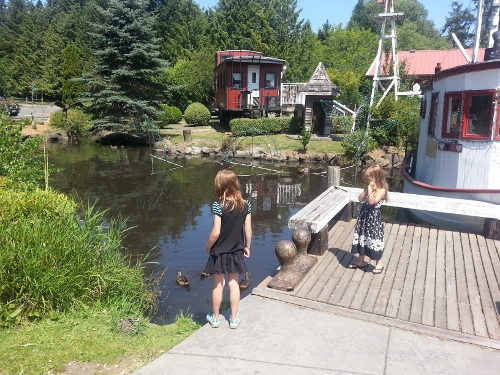 20140713_115754 (500x375)