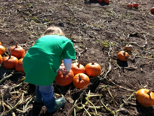 20141016_124758_Android (500x375)