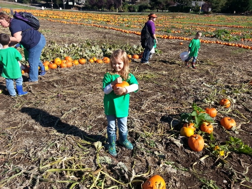 20141016_124812_Android (500x375)