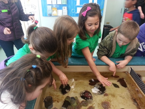 Ashley’s Zoo Field Trip
