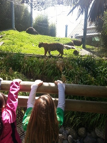 20150429_114542 (375x500)