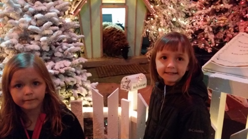 20151213_112821 (500x281)