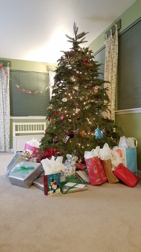 20151225_073357 (281x500)