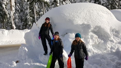 20151231_101030 (500x281)