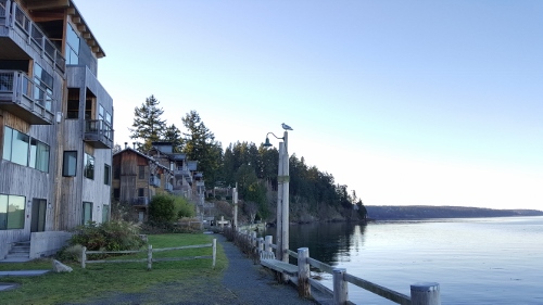 20160110_151946 (500x281)